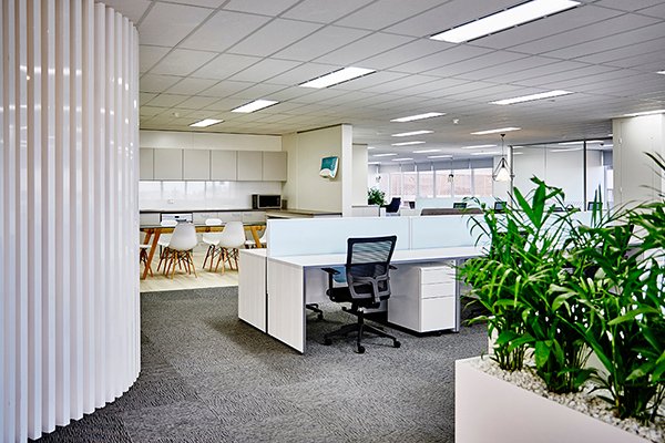 Soft office lighting installation